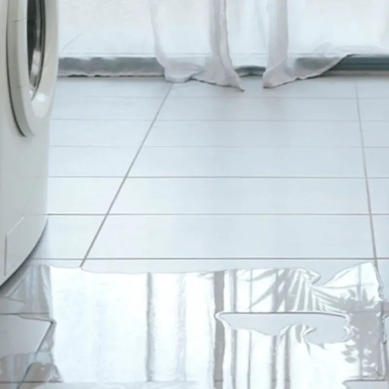 Appliance Leak Cleanup in Anderson County, SC