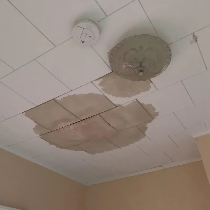 Ceiling Water Damage Repair in Anderson County, SC