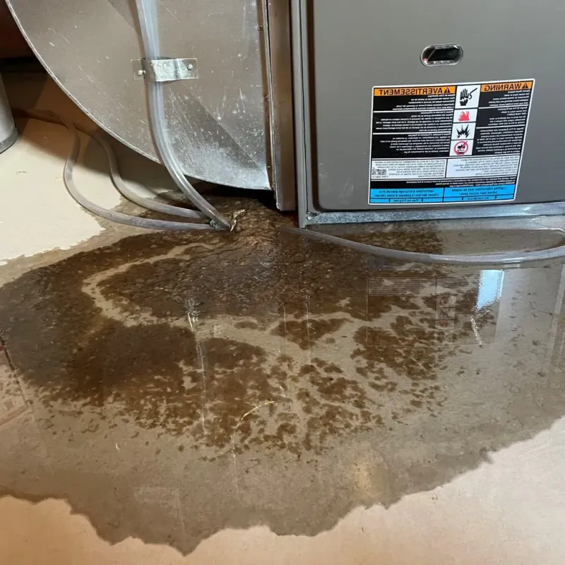 Pipe Burst and Leak Restoration in Anderson County, SC