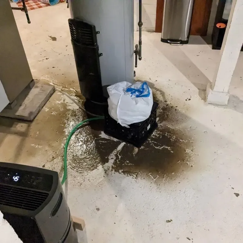 Sewage Backup Cleanup Service in Anderson County, SC